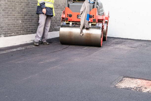 Best Driveway Repair and Patching  in Sheldon, IL